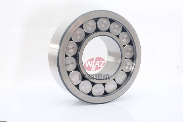 滿(mǎn)裝滾子(zǐ)SL1923系列