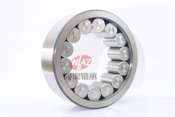 滿(mǎn)裝滾子(zǐ)SL1923系列